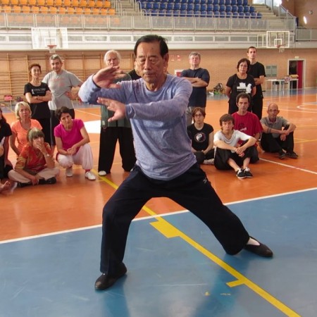 Grandmaster Wang XI'an - Ba Shi (8 Movement Form) - Pamplona, Spain - 2016